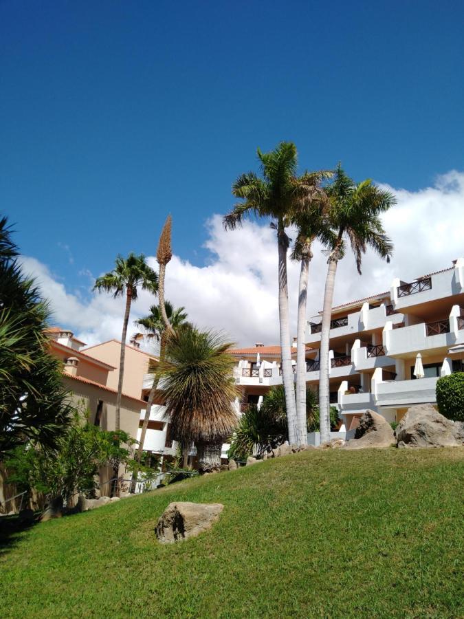 Forest Flat - Big Heated Pool, Terrace, Tv Channels, Golf Courses Σαν Μιγκέλ ντε Αμπόνα Εξωτερικό φωτογραφία