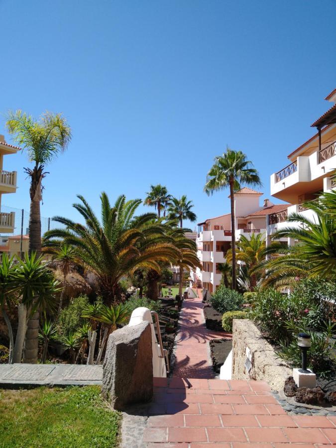 Forest Flat - Big Heated Pool, Terrace, Tv Channels, Golf Courses Σαν Μιγκέλ ντε Αμπόνα Εξωτερικό φωτογραφία