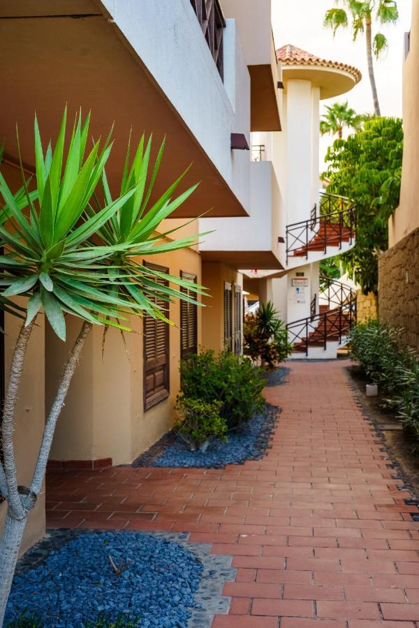 Forest Flat - Big Heated Pool, Terrace, Tv Channels, Golf Courses Σαν Μιγκέλ ντε Αμπόνα Εξωτερικό φωτογραφία